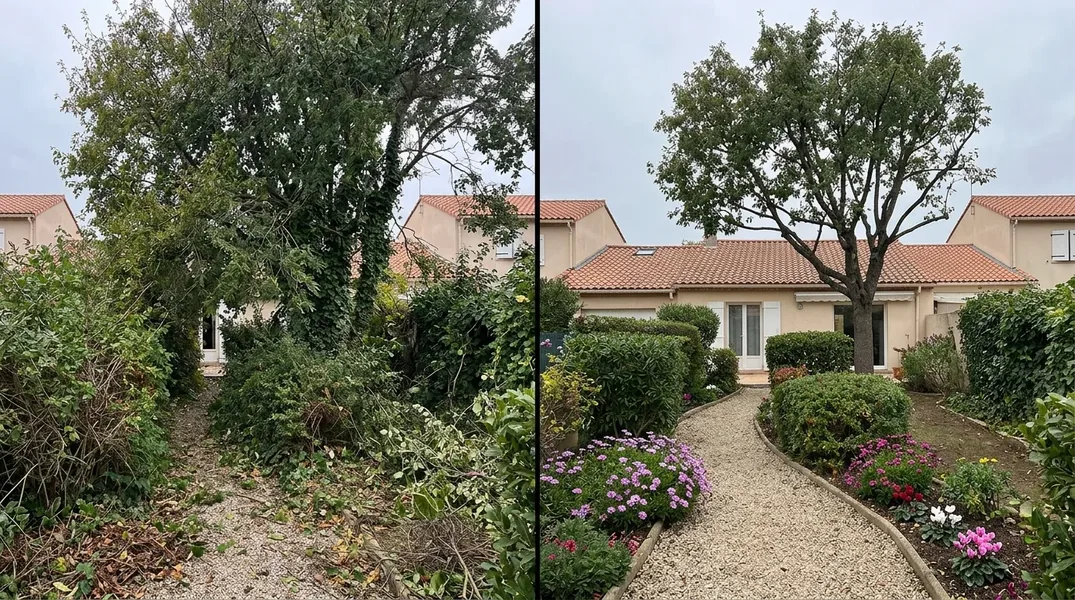 Résultat élagage dans le Gard — Elagage Gard